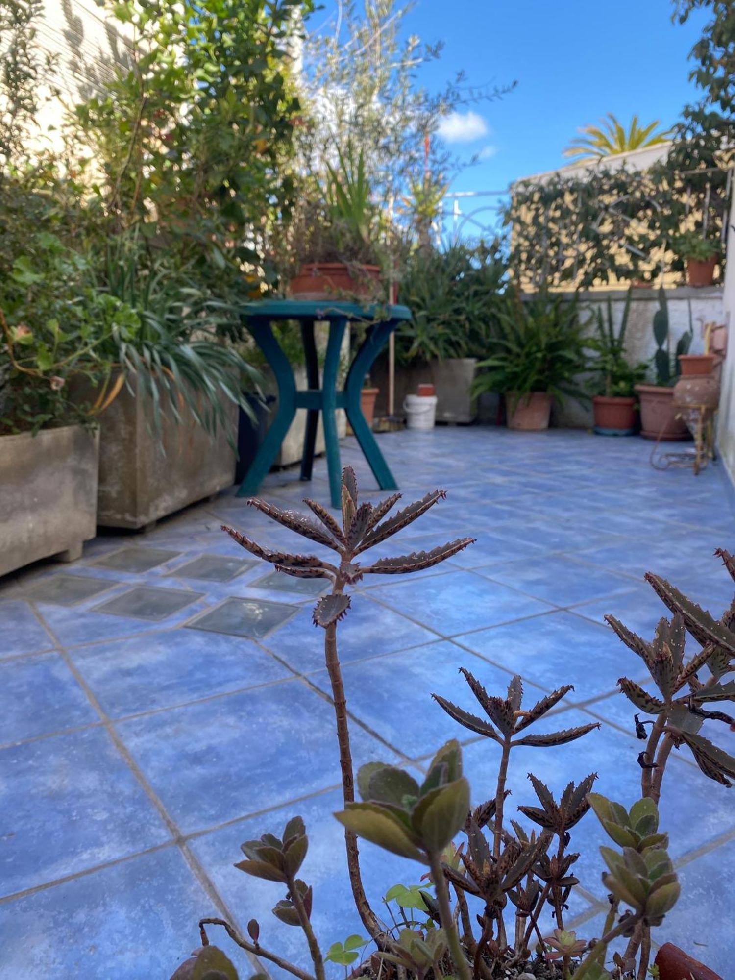 Casa Vacanza Maronti Barano dʼIschia Dış mekan fotoğraf